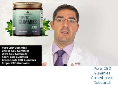 Pure CBD Gummies User Review